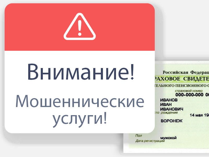 Пенсионный фонд предупреждает о мошеннических услугах по оформлению СНИЛСа.