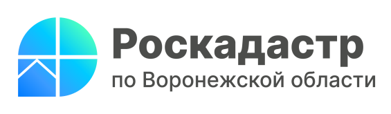 Роскадастр расскажет воронежцам об исправлении ошибок в сведениях ЕГРН.