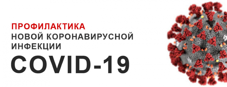 Профилактика новой коронавирусной инфекции. Профилактика новой коронавирусной инфекции.