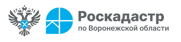 Кто может получить сведения о недвижимости со скидкой 50%. Кто может получить сведения о недвижимости со скидкой 50%.